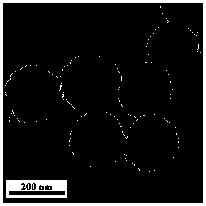 Erythrocyte membrane coated bionic blood hexavalent chromium reduction remover/magnetic nanomotor and preparation method and application thereof