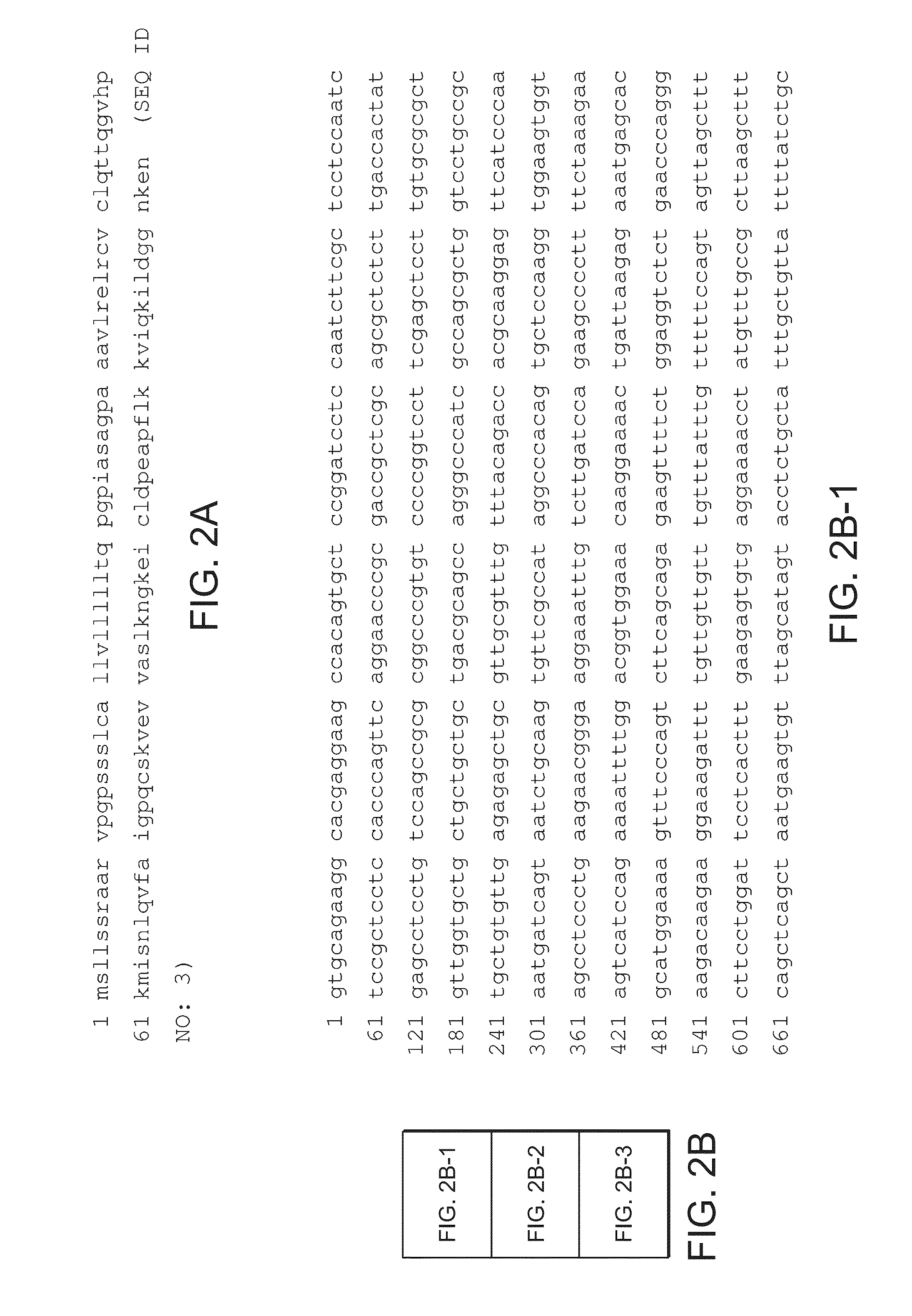 Anti-tnf and Anti-il 17 combination therapy biomarkers for inflammatory disease