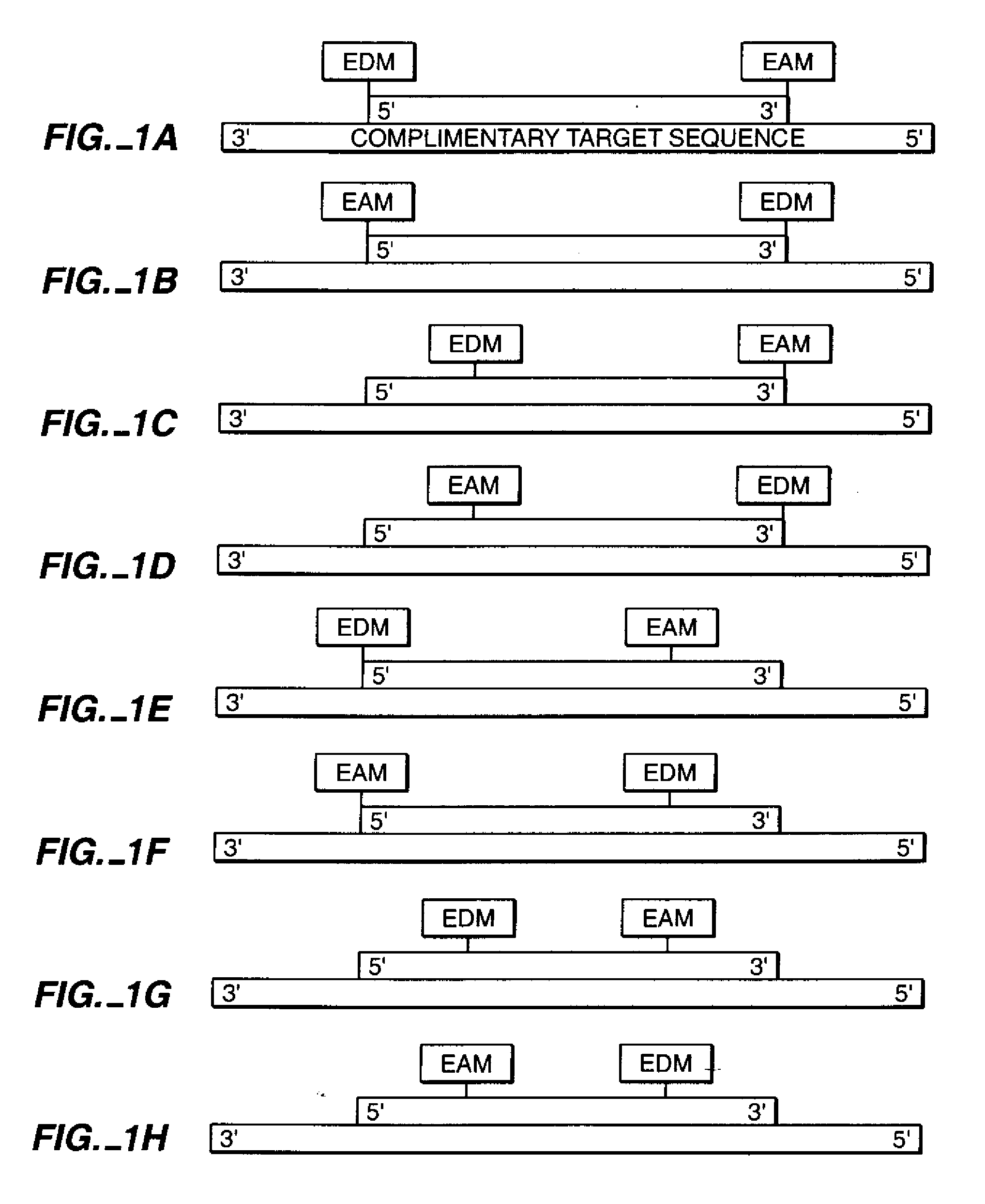 Nucleic Acid Mediated Electron Transfer