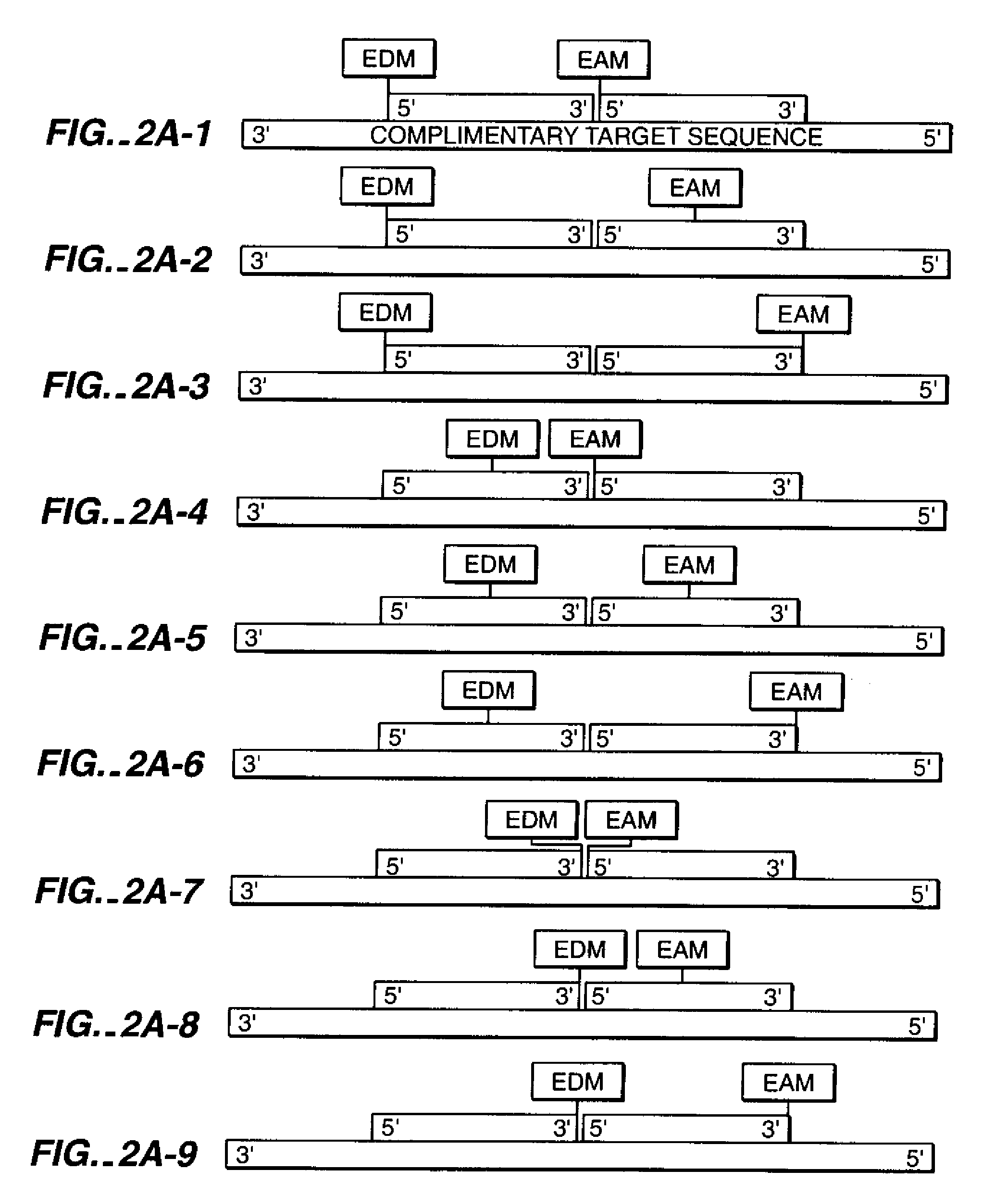 Nucleic Acid Mediated Electron Transfer