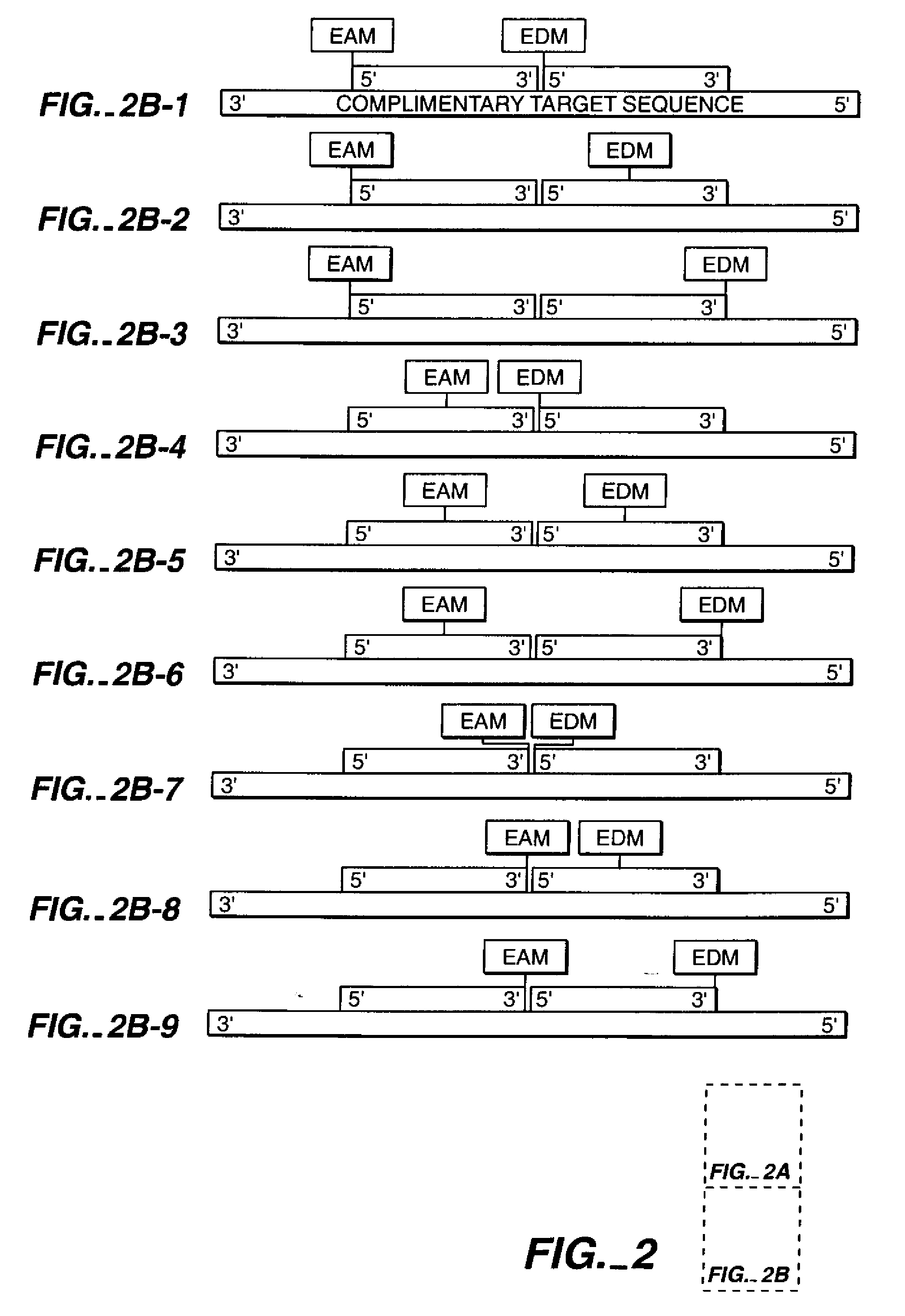 Nucleic Acid Mediated Electron Transfer