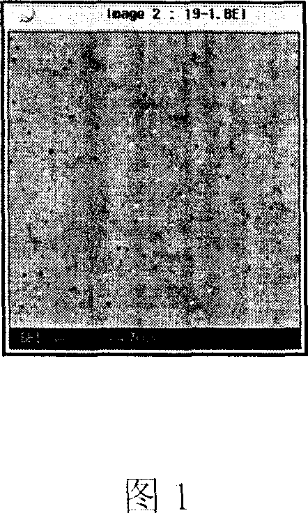 Rare earth improving antibacterial performance silver containing stainless steel