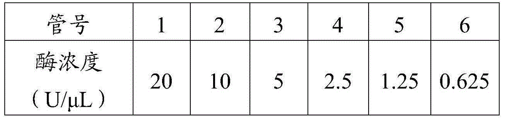 Method for measuring activity of Phi29 DNA polymerase and rolling circle sequencing method