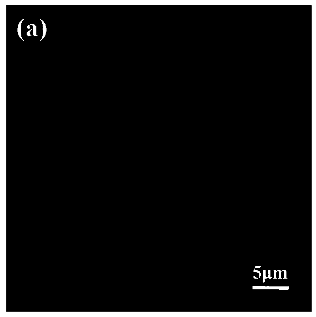 A method for treating the surface of dental materials with polyethylene glycol chitosan gel