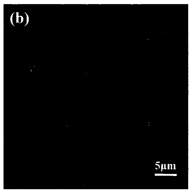 A method for treating the surface of dental materials with polyethylene glycol chitosan gel