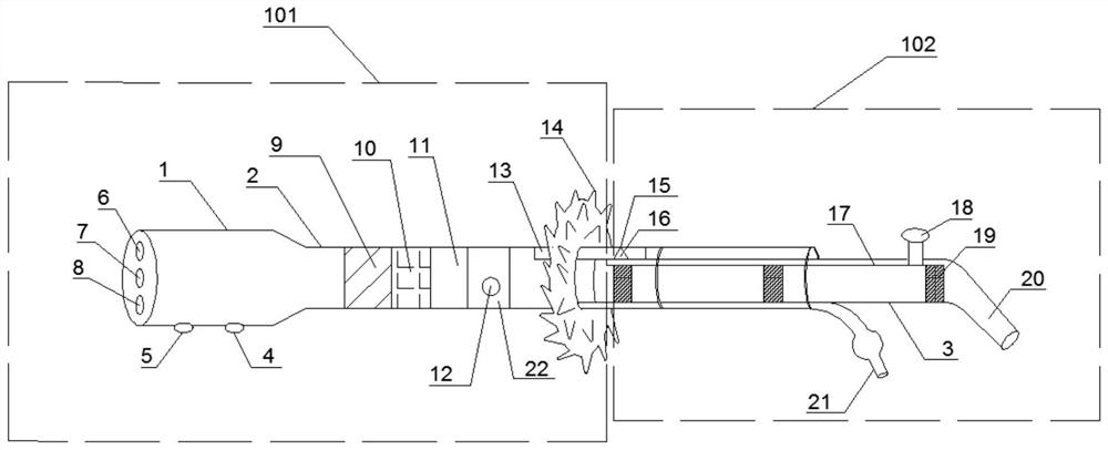 A device for intelligent monitoring of vaginal environment of female dogs in estrus