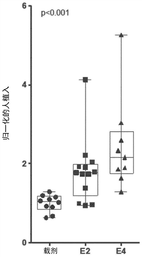 Improvements for performing and facilitating the recovery after hematopoietic stem cell transplantation