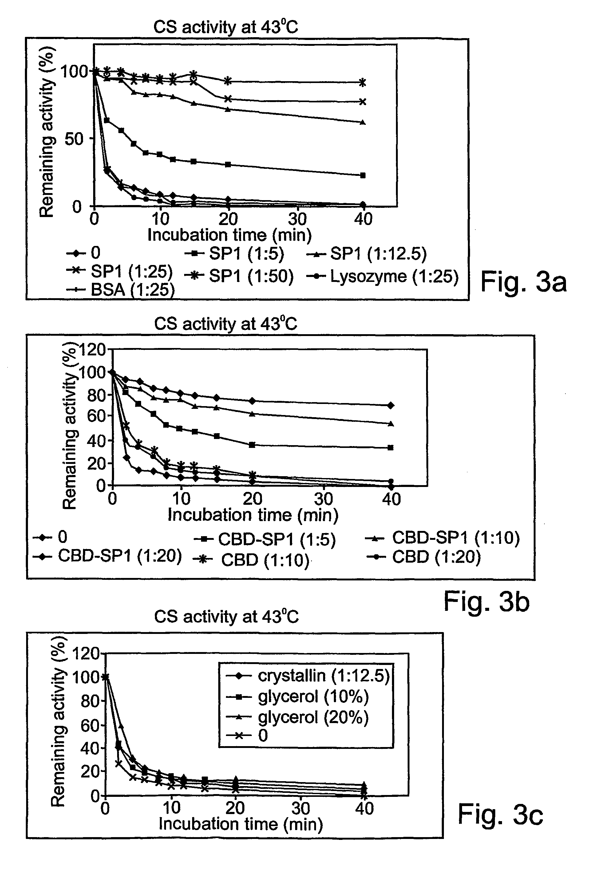 Denaturat stable and/or protease resistant, chaperone-like oligomeric proteins, polynucleotides encoding same, their uses and methods of increasing a specific activity thereof