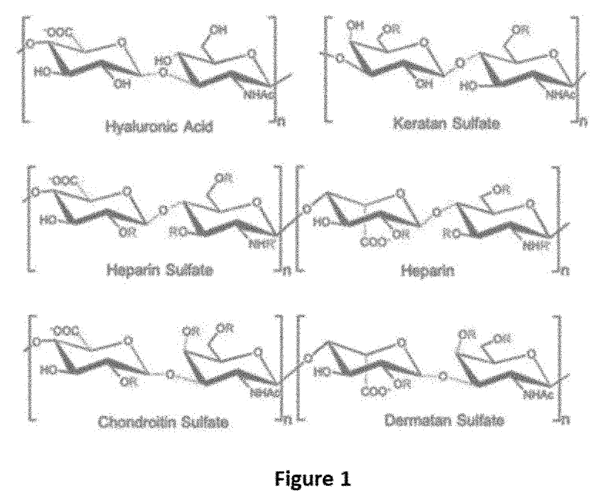 Antidote for Chondroitinase