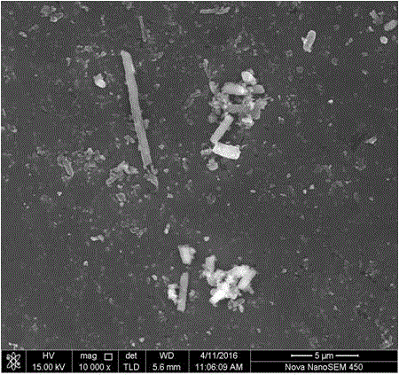 Preparation method for whisker carbon nanotube-reinforced aluminum matrix composite coated with aluminum oxide