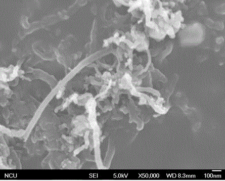 Preparation method for whisker carbon nanotube-reinforced aluminum matrix composite coated with aluminum oxide