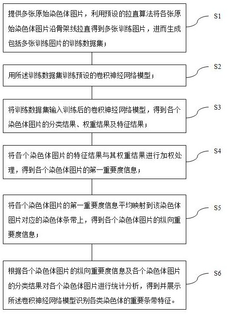 Convolutional neural network-based chromosome important feature visualization method and device