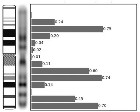 Convolutional neural network-based chromosome important feature visualization method and device