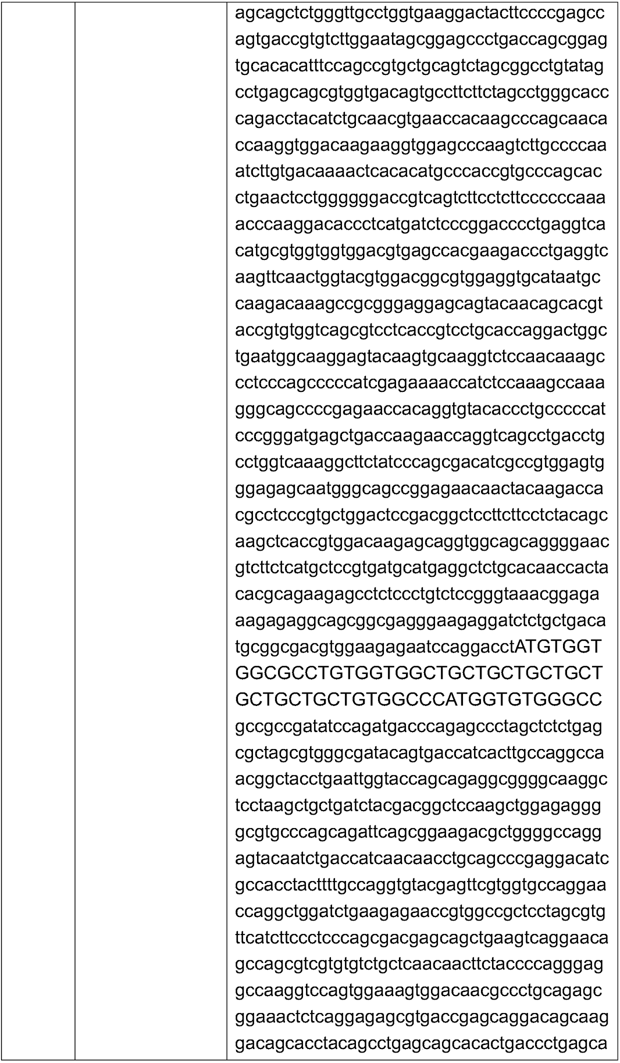 Minicircle DNA carrier expressing IgG antibody, preparation method and application thereof