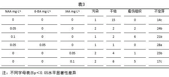 Tissue culture and rapid propagation method of lycium exsertum