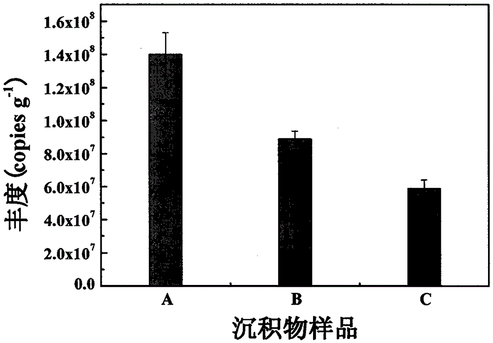 A method for enhancing anaerobic ammonium oxidation in sediments using waste sludge from water purification plants