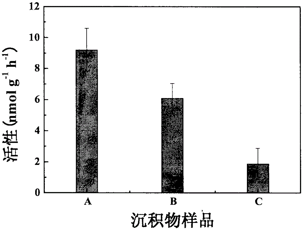 A method for enhancing anaerobic ammonium oxidation in sediments using waste sludge from water purification plants