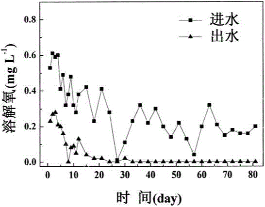 A method for enhancing anaerobic ammonium oxidation in sediments using waste sludge from water purification plants