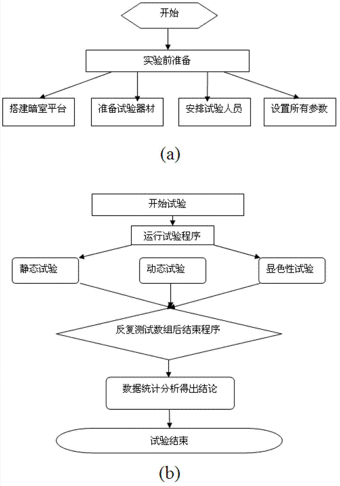 Experimental method for simulating visual response of driver in road tunnel environment