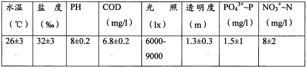 Ecological cultivating method for mixed cultivation of sea horses and caulerpa lentillifera