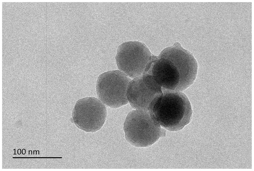 Protein and amorphous metal organic framework compound and preparation method thereof