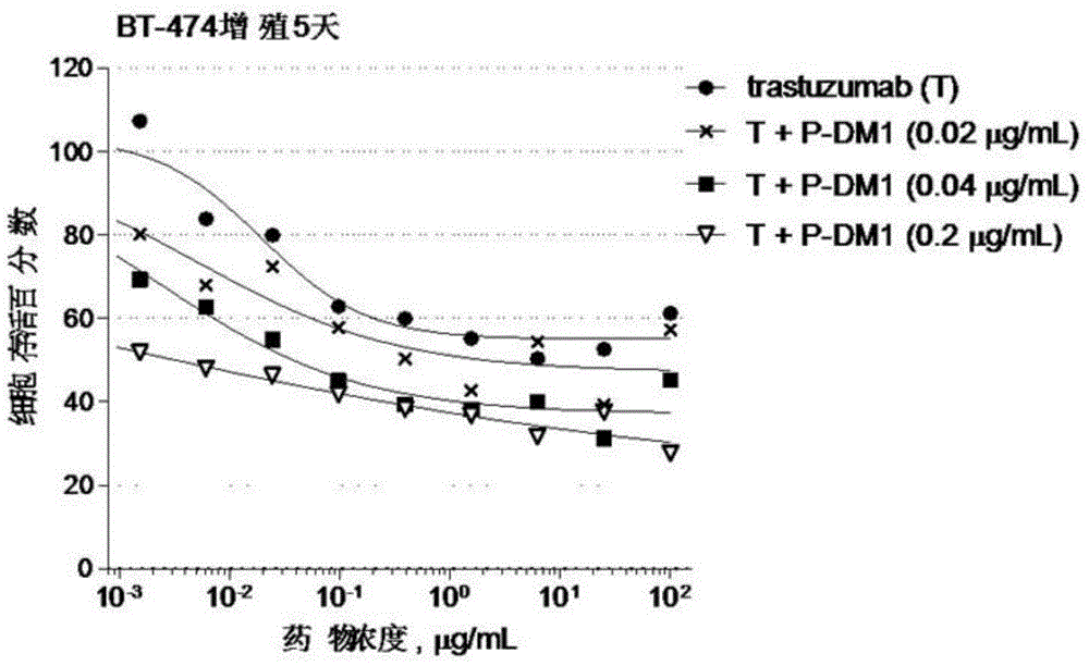 Antibody-drug conjugate Pertuzumab-MCC-DM1, conjugate and Trastuzumab composition, and application of conjugate and composition