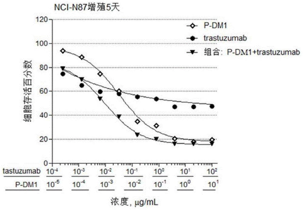 Antibody-drug conjugate Pertuzumab-MCC-DM1, conjugate and Trastuzumab composition, and application of conjugate and composition