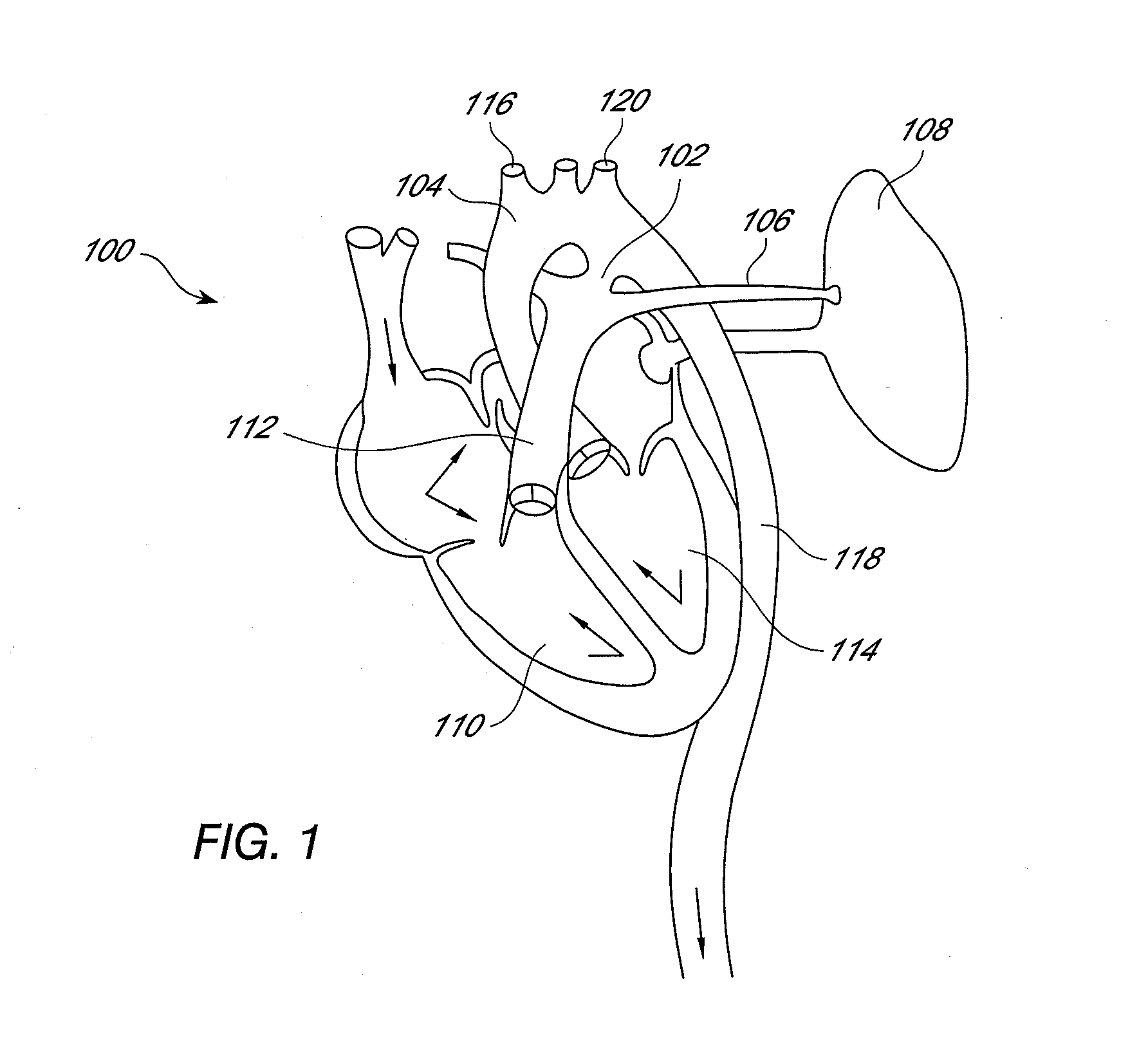 Automated cchd screening and detection