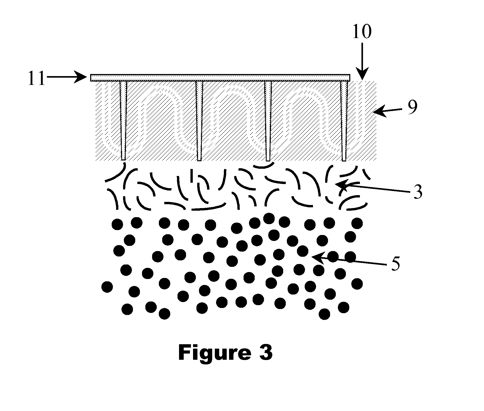 In-situ graphite shape control for iron castings