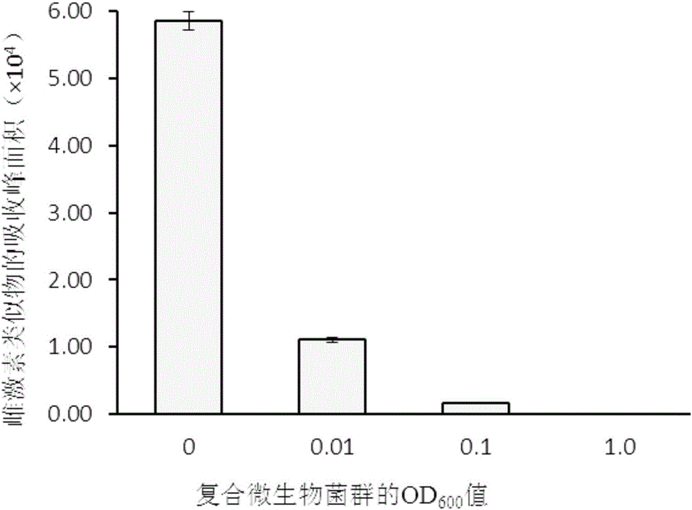 Microbial flora capable of rapidly degrading estrogen and analogs in chicken manure