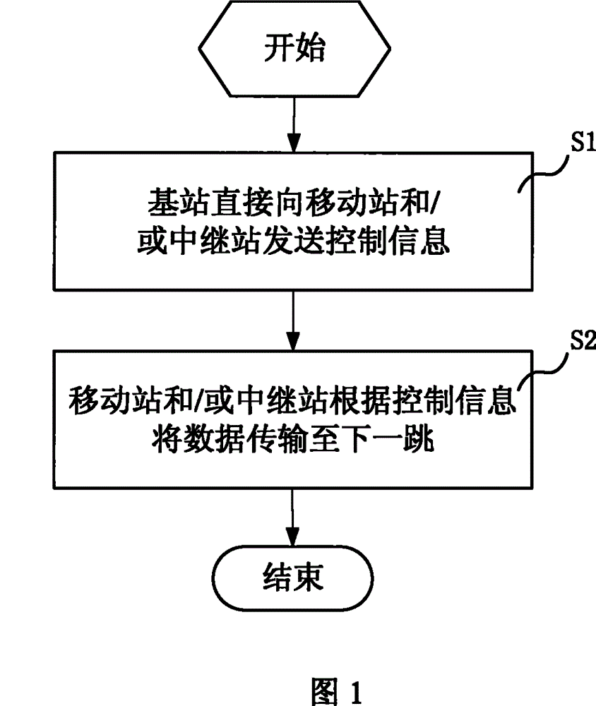 Data transmission method for wireless access system, base station, relay station and wireless access system