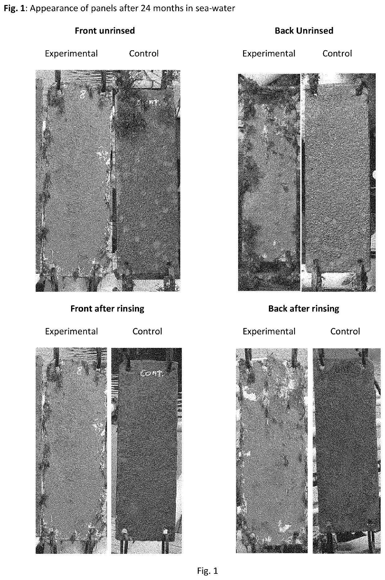 Copper Chelate Complex Compositions for Antifouling Protection