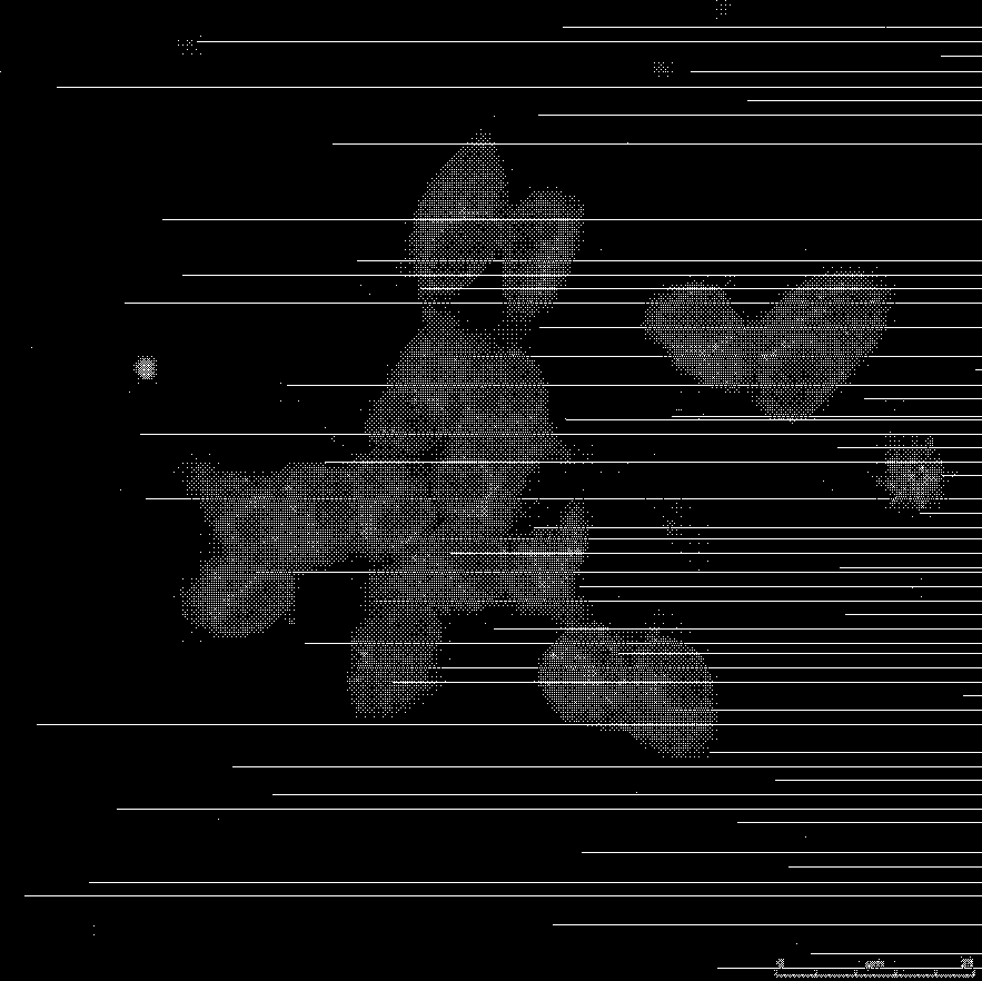 Method for inducing retinal stem cells to differentiate into photosensory cells