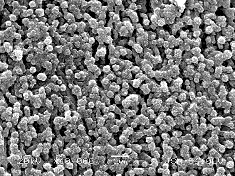 Microcrystalline domestic ceramic prepared by talcum