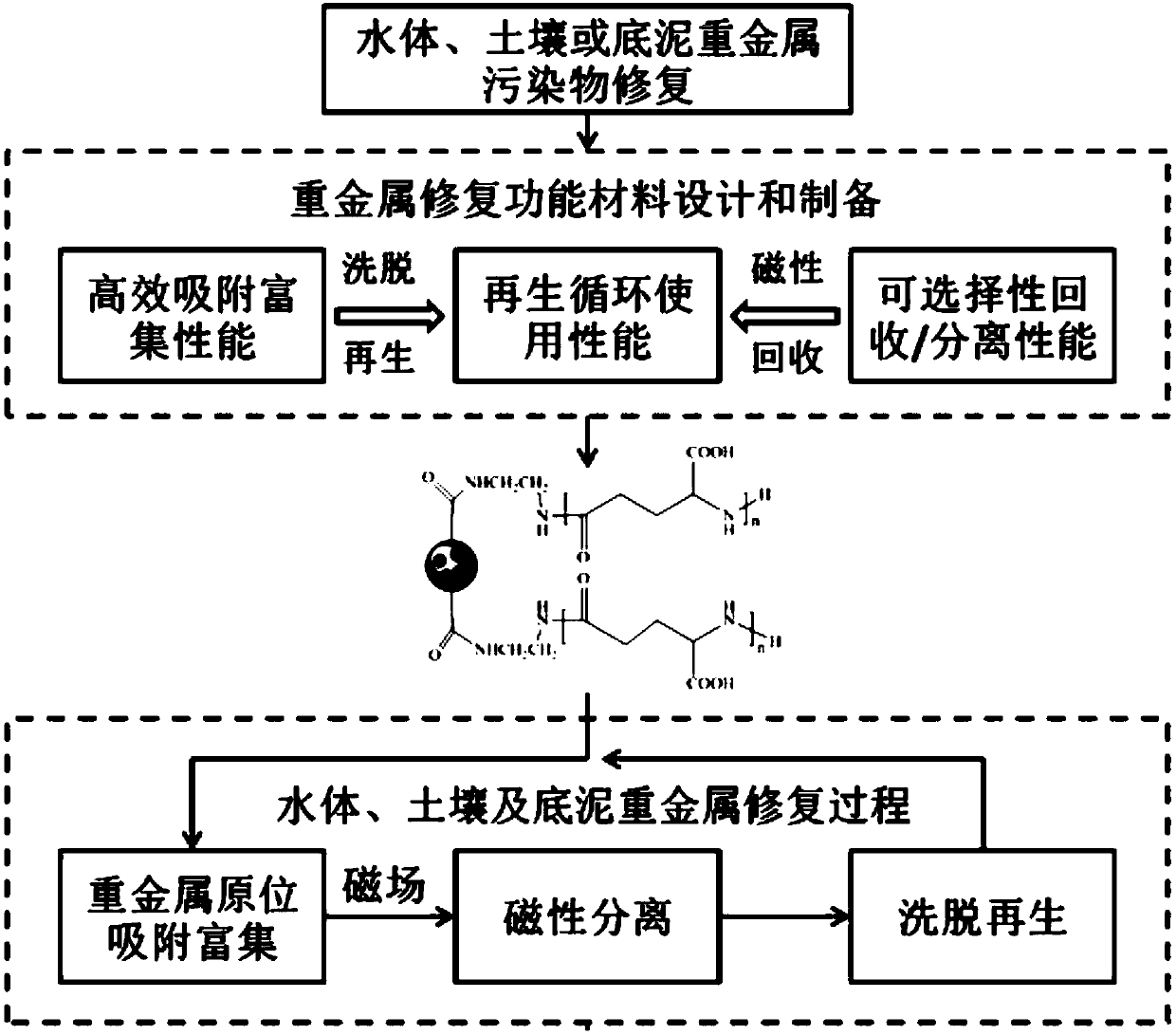 A large particle size recyclable heavy metal adsorption functional microsphere and its application