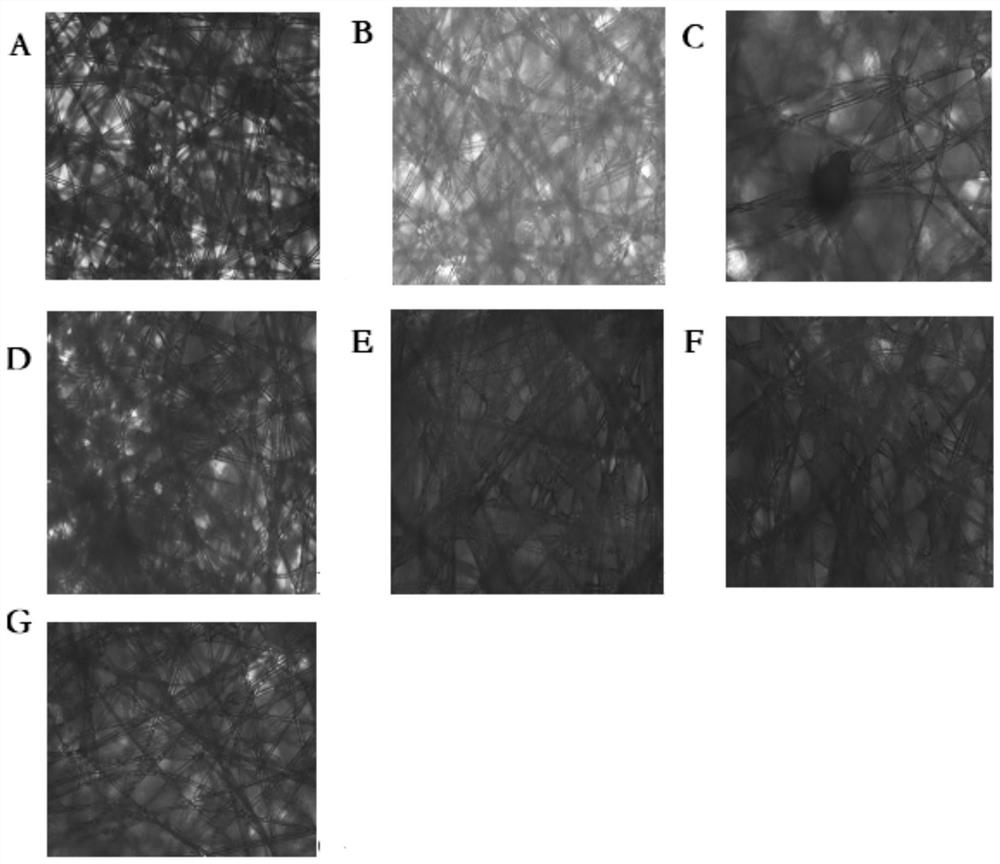 Bioreactor process of chick embryo cell rabies virus