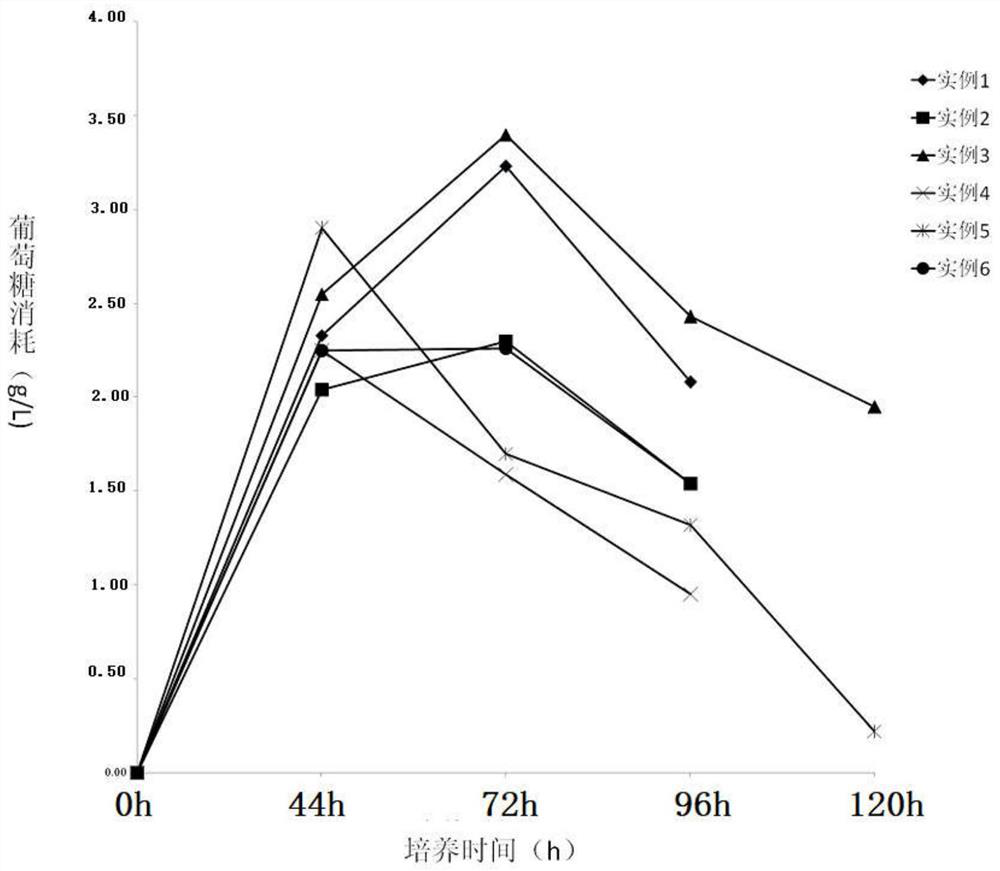 Bioreactor process of chick embryo cell rabies virus