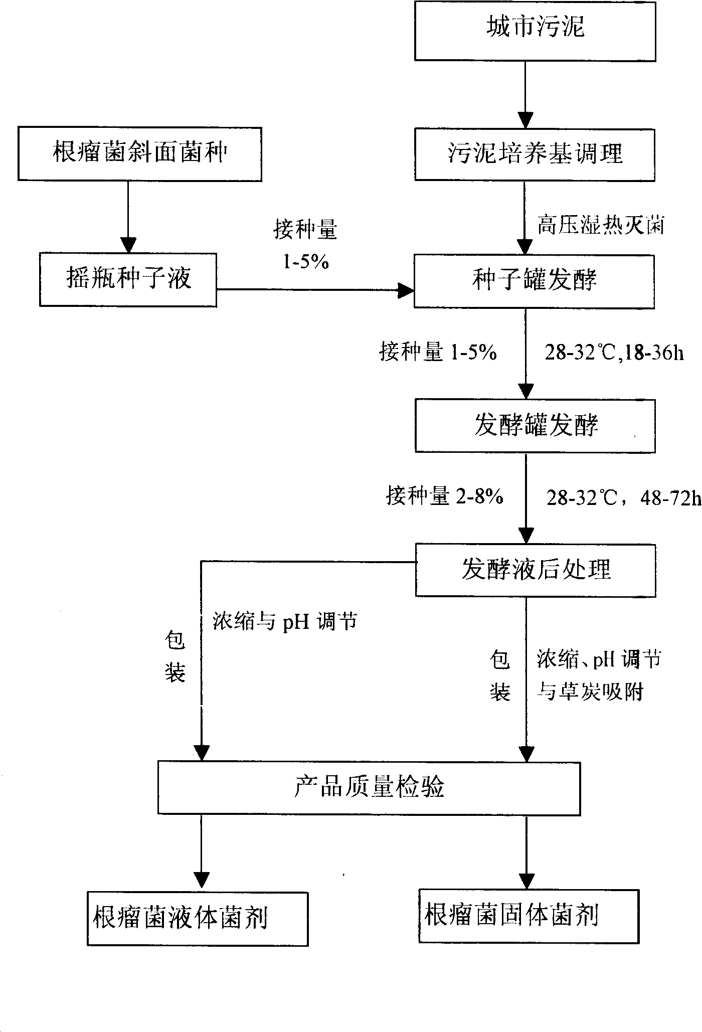 Legume inoculation agent prepared by using municipal sludge, and preparation method