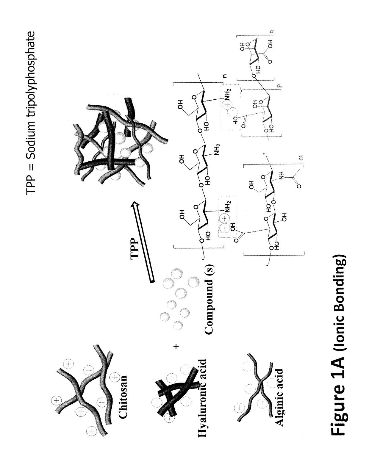 Composition and method for stopping hemorrhage, infection, and accelerating healing in various types of wound or burns