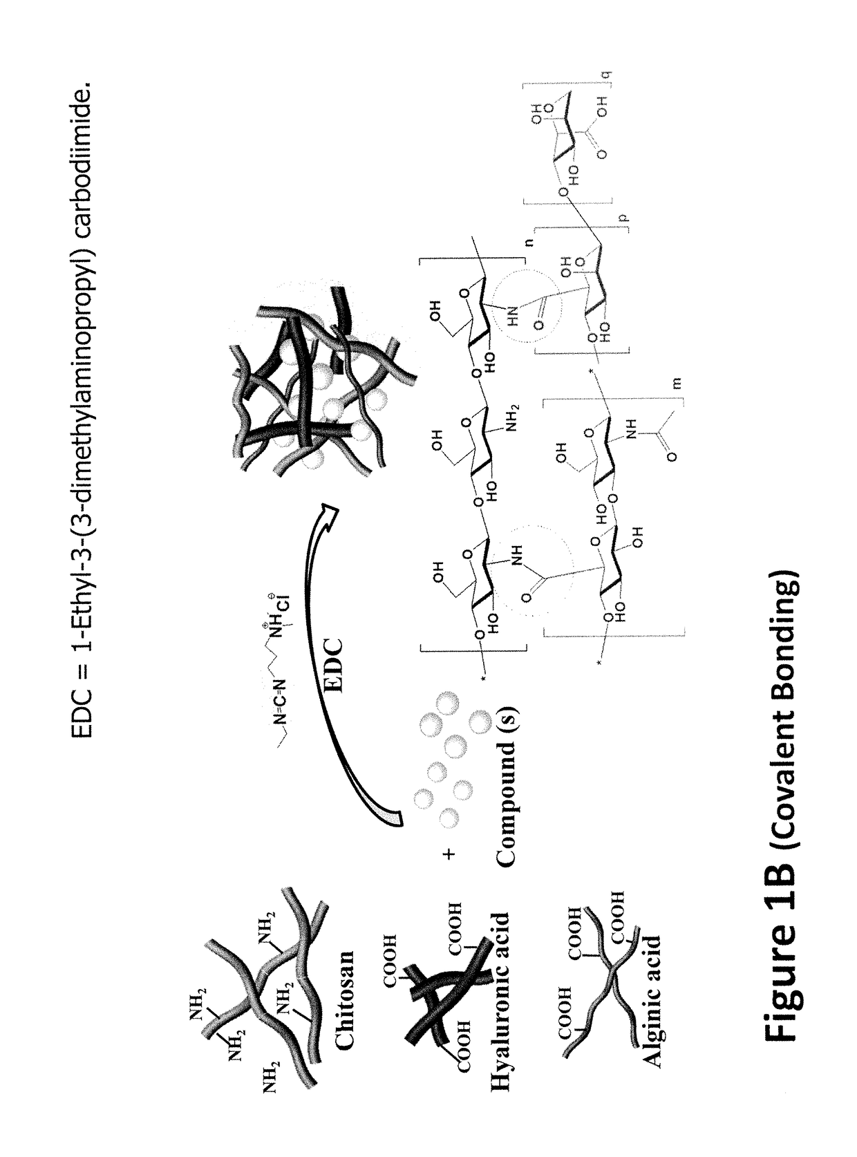 Composition and method for stopping hemorrhage, infection, and accelerating healing in various types of wound or burns