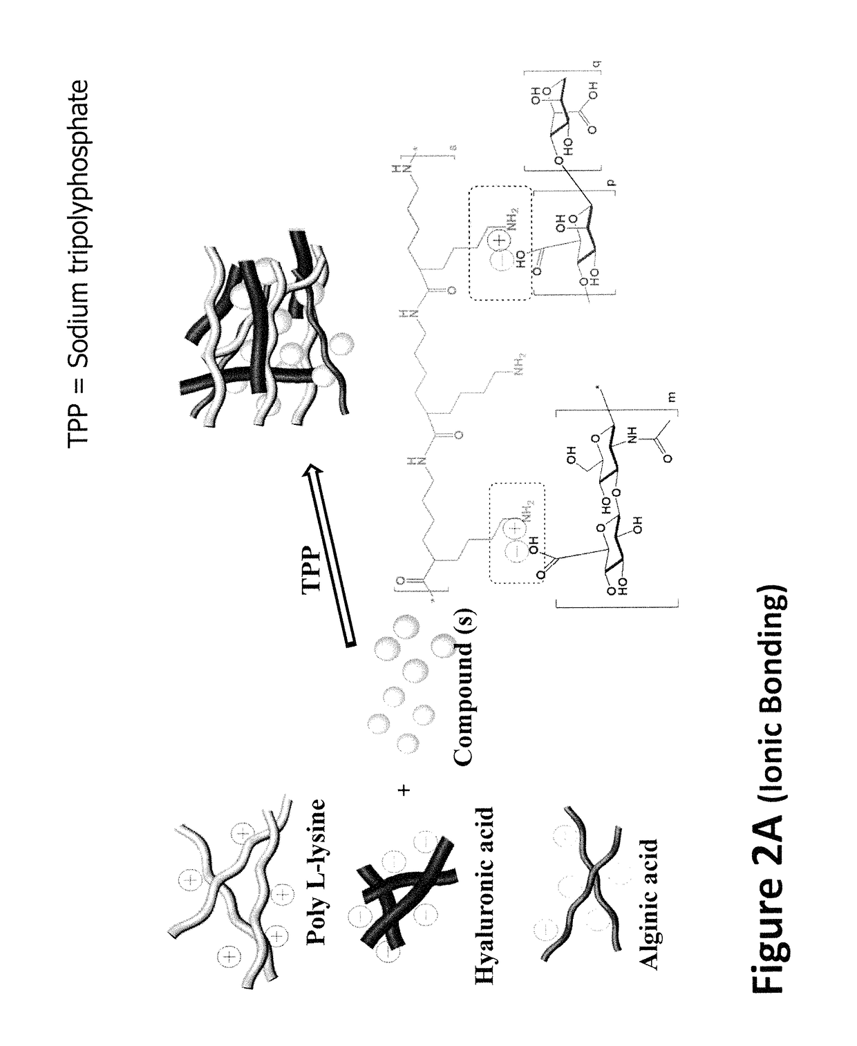 Composition and method for stopping hemorrhage, infection, and accelerating healing in various types of wound or burns