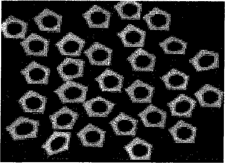 Water-absorbent material mainly used for diaper or pad and production method thereof