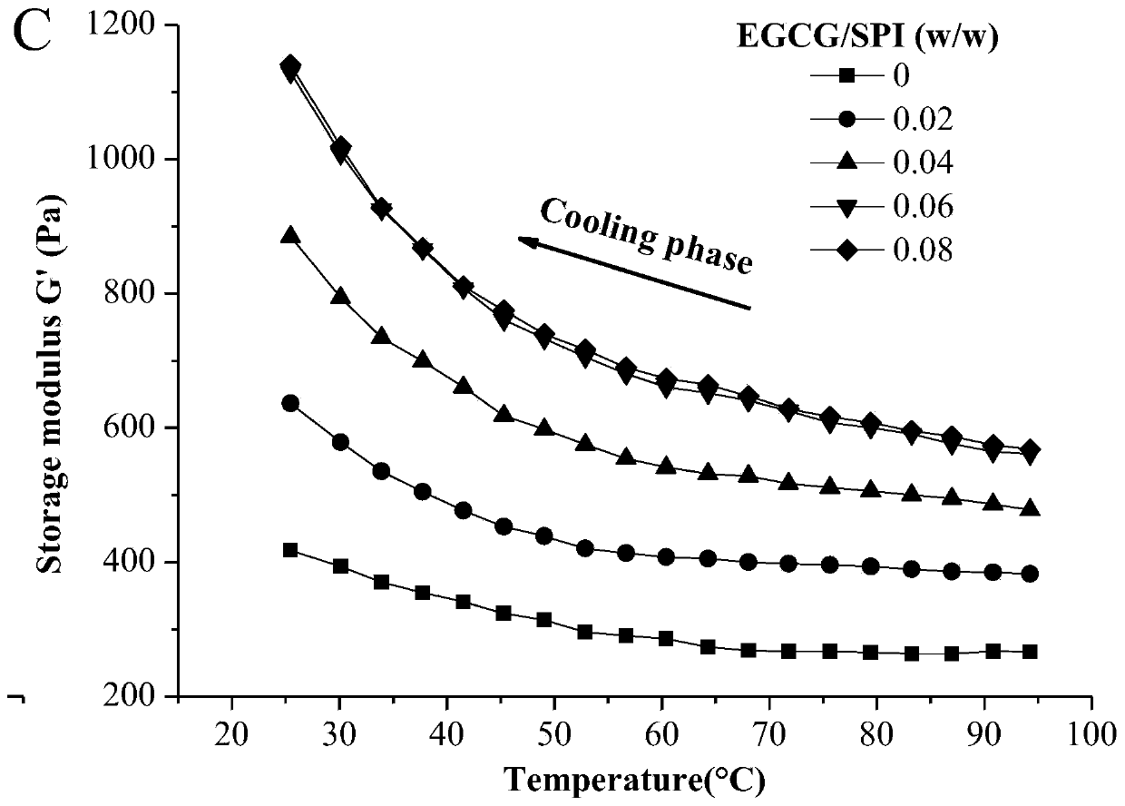 Polyphenol nutrition-enhanced bean curd and preparation method of protein gel induced by TG enzyme