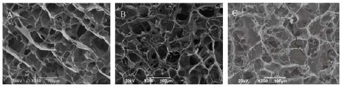 Polyphenol nutrition-enhanced bean curd and preparation method of protein gel induced by TG enzyme