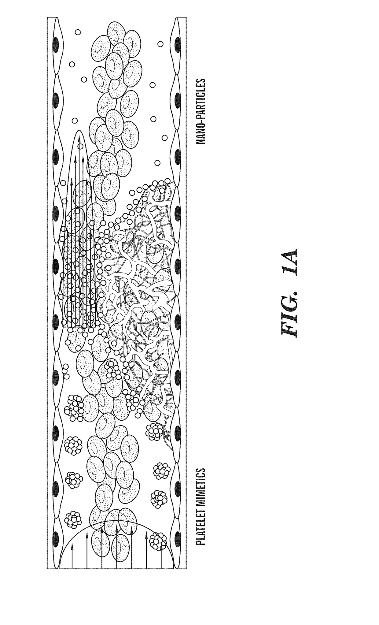 Shear controlled release for stenotic lesions and thrombolytic therapies