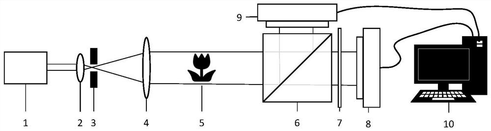 Complex amplitude imaging method and system