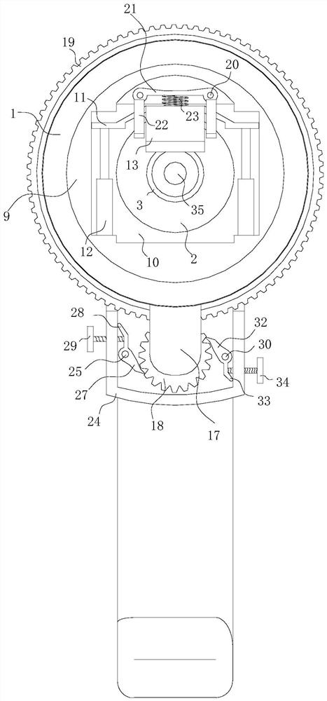 Gynecological tumor sampling device