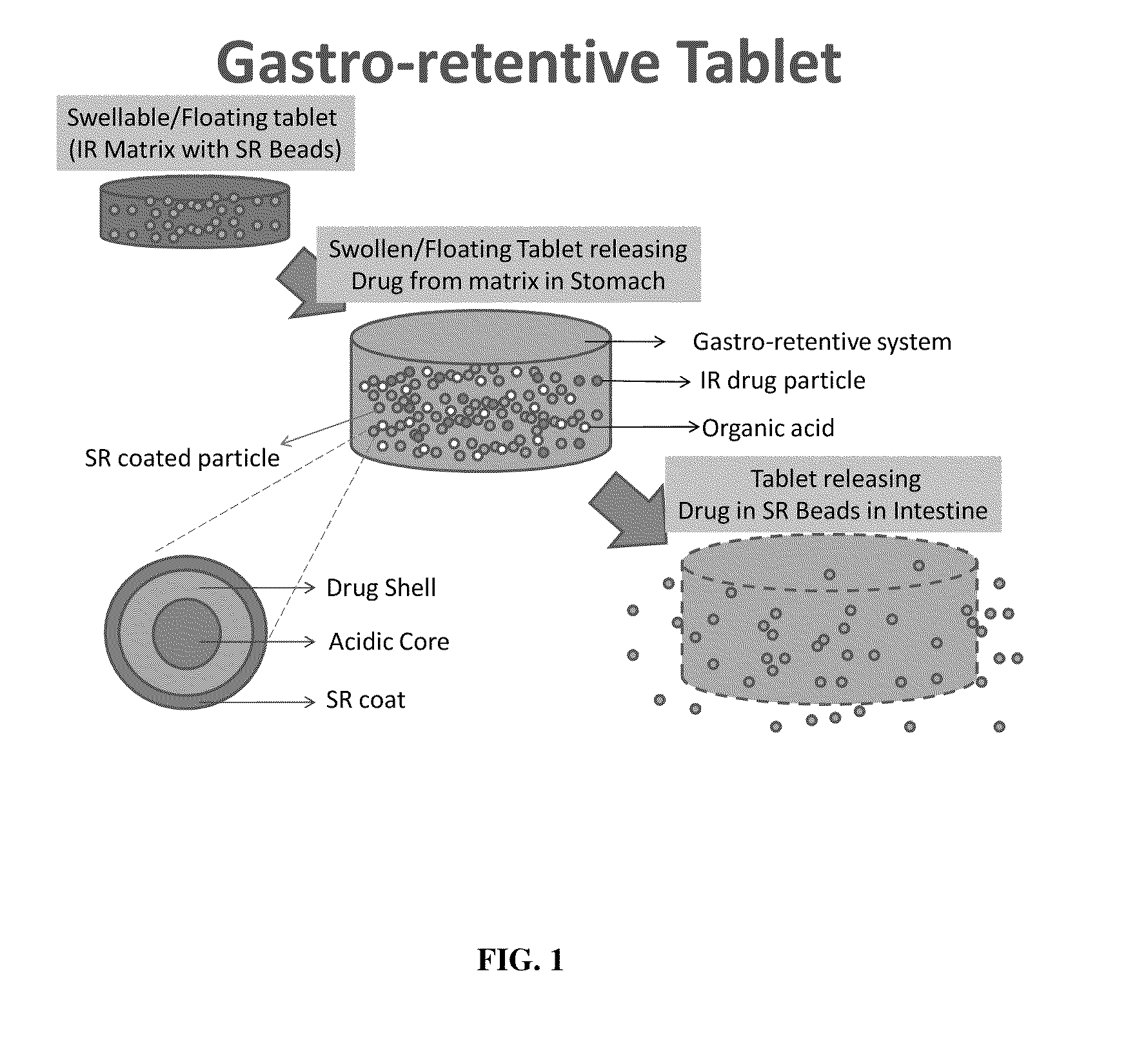 Modified gastroretentive drug delivery system for amine drugs