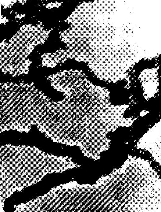 Process for producing nano-Ni/Fe bimetallic material