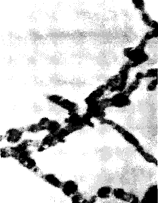 Process for producing nano-Ni/Fe bimetallic material